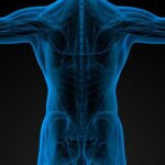 筋肉反射テスト